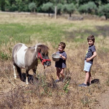Arca Dos Animais - Farming & Spa คาสเตโลแบรนโค ภายนอก รูปภาพ