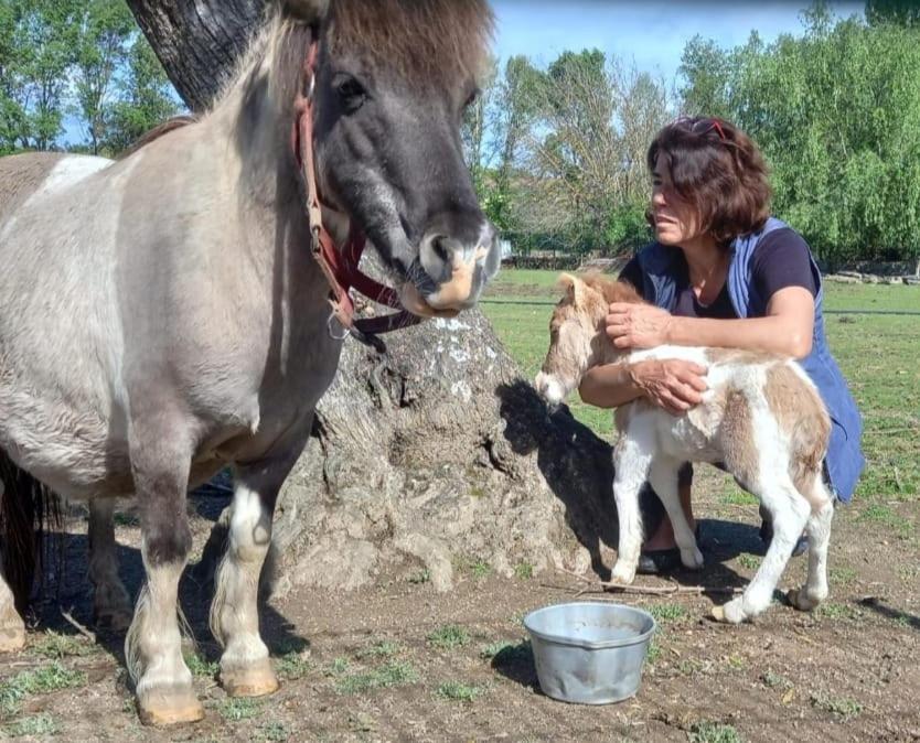 Arca Dos Animais - Farming & Spa คาสเตโลแบรนโค ภายนอก รูปภาพ