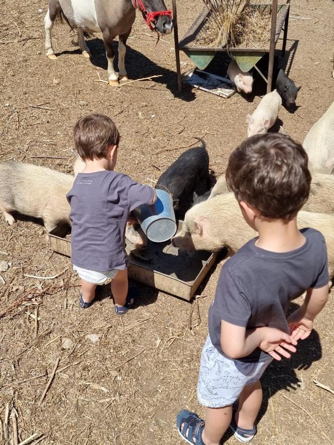 Arca Dos Animais - Farming & Spa คาสเตโลแบรนโค ภายนอก รูปภาพ